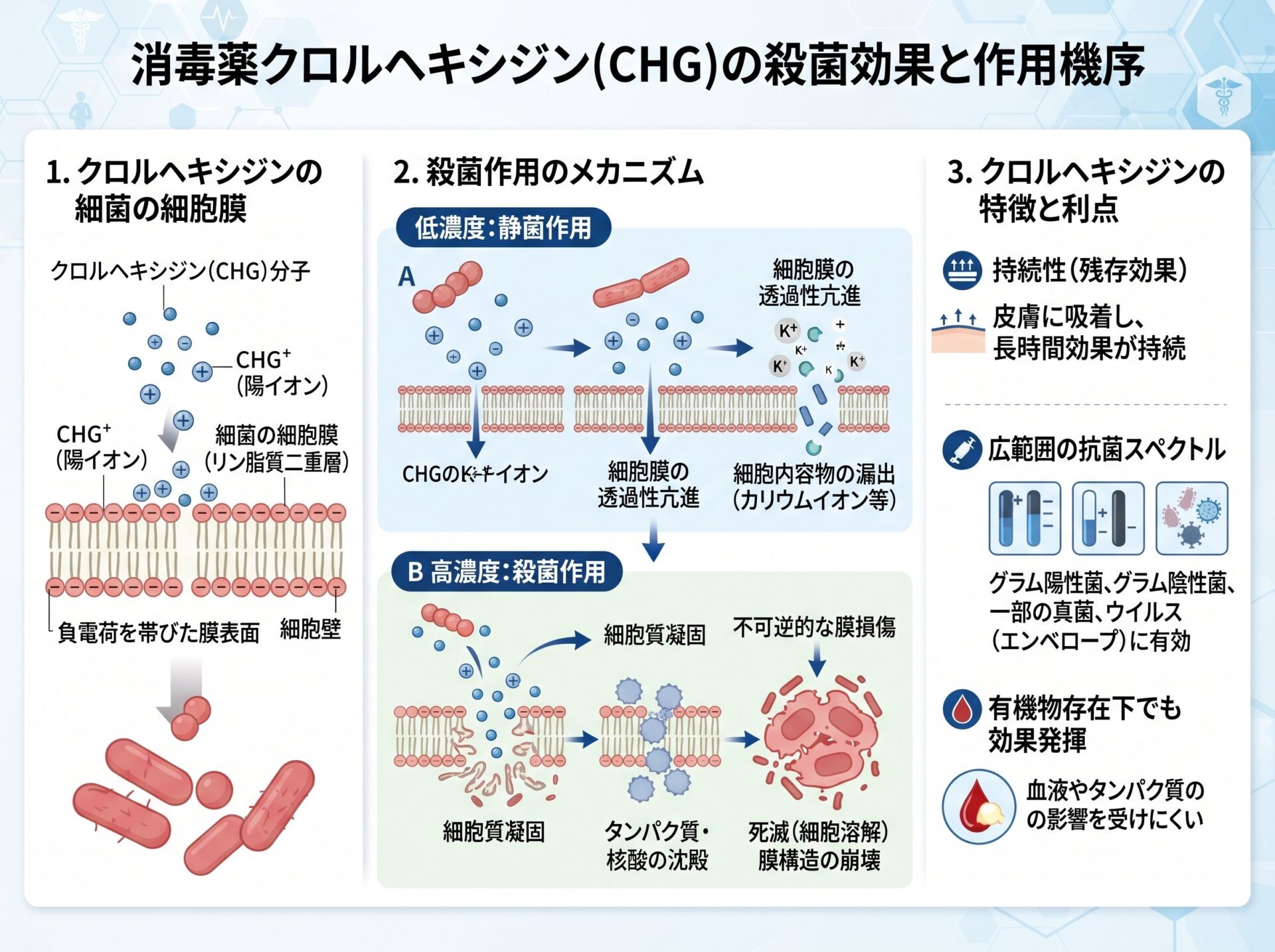 消毒薬クロルヘキシジンの殺菌効果