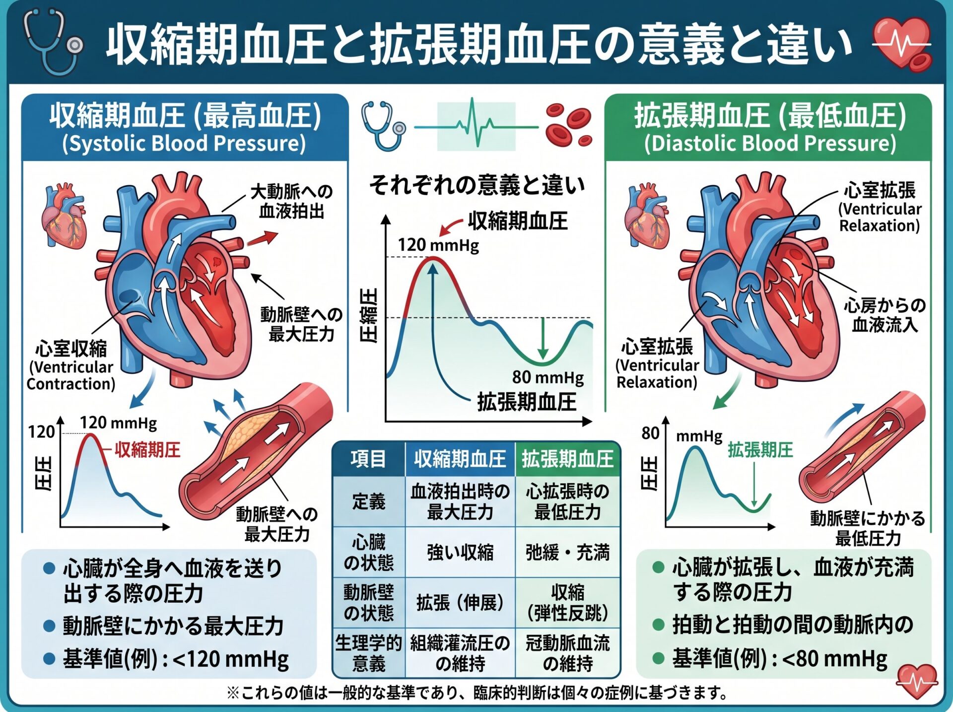 収縮期血圧と拡張期血圧それぞれの意味と違い
