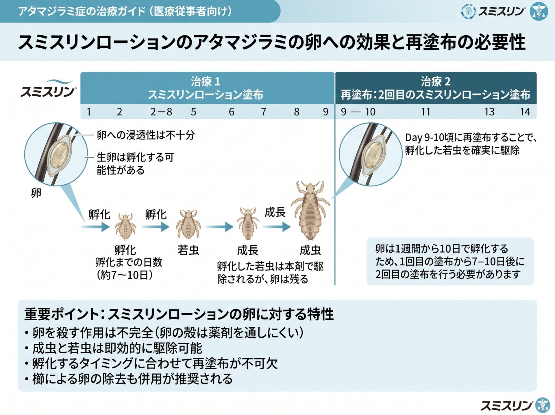 スミスリンローションのアタマジラミの卵への効果と再塗布の必要性