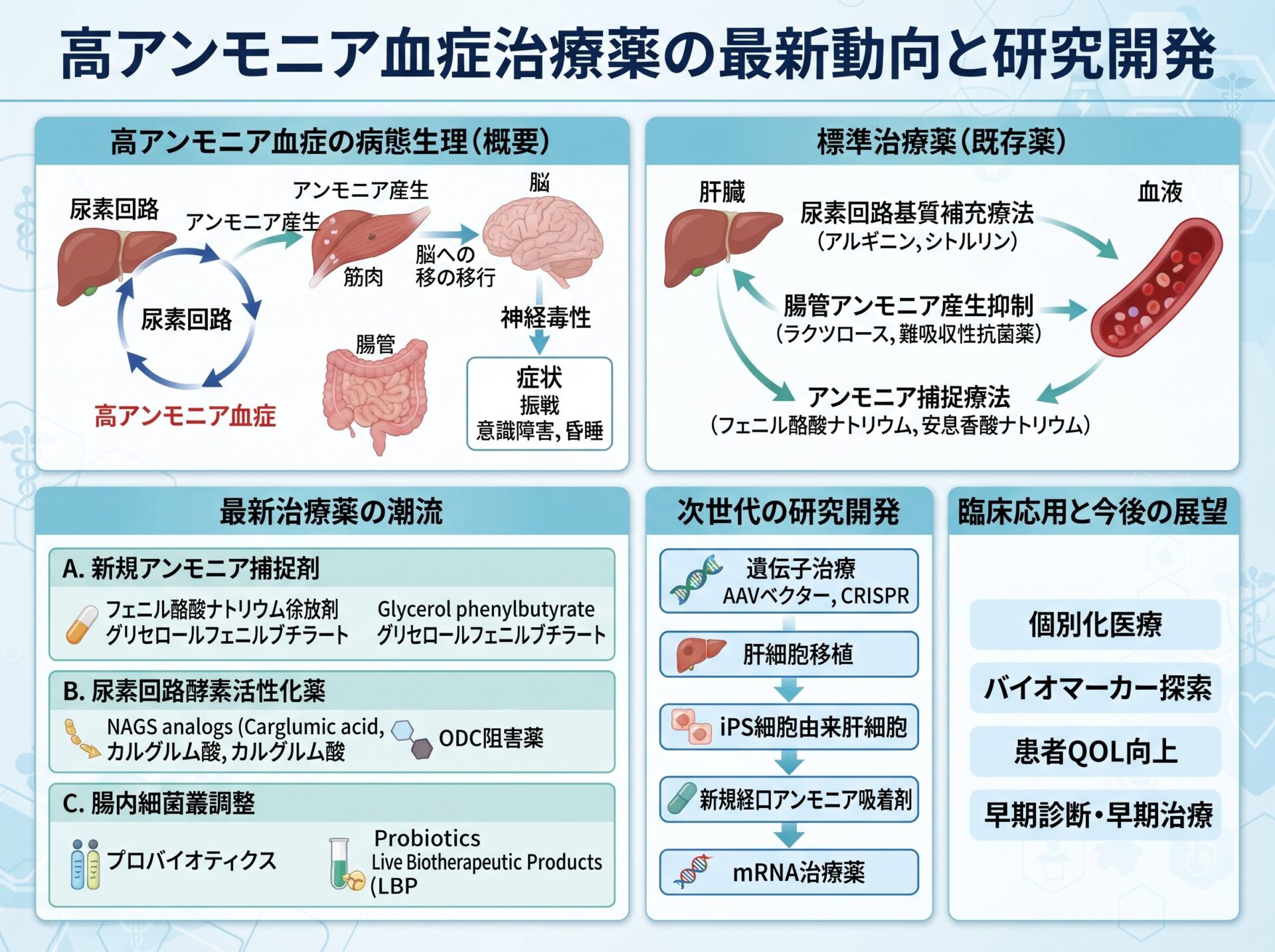 高アンモニア血症治療薬の最新動向と研究開発