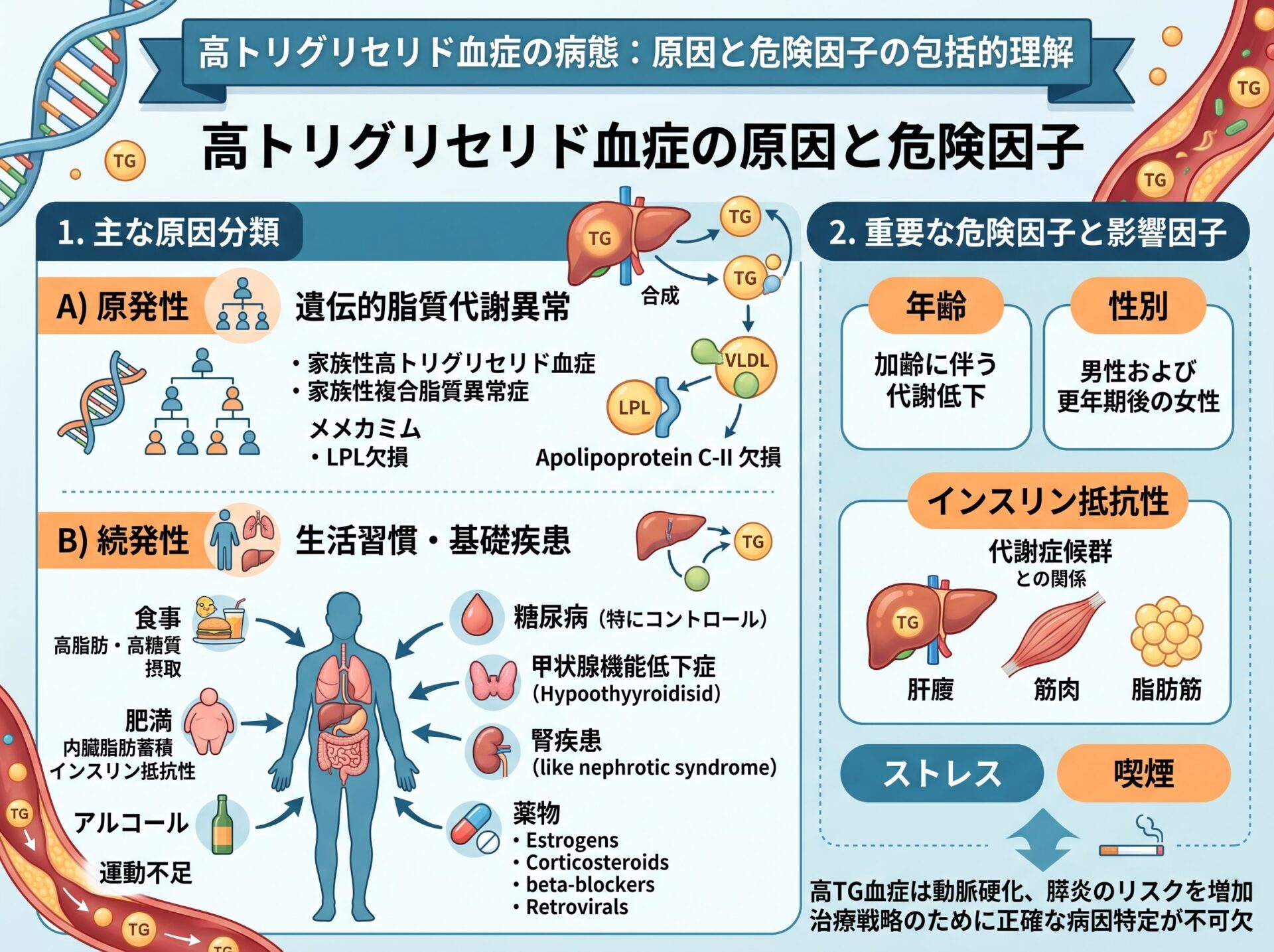 高トリグリセリド血症の原因と危険因子