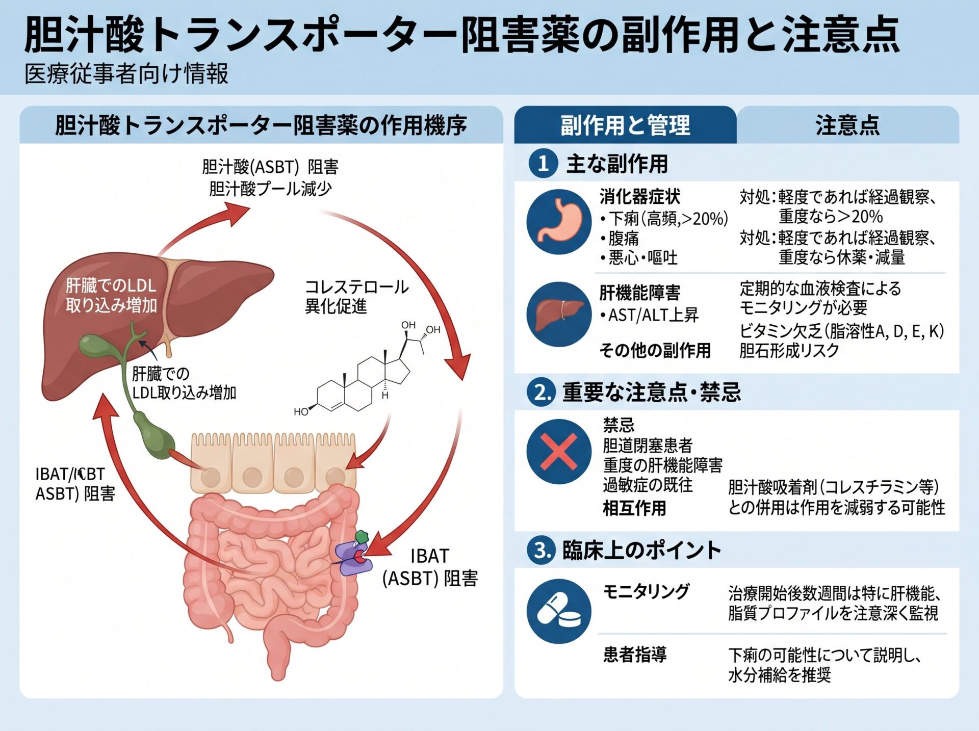 胆汁酸トランスポーター阻害薬の副作用と注意点