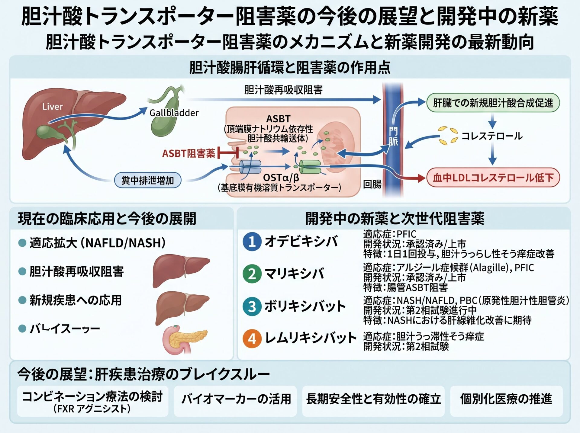 胆汁酸トランスポーター阻害薬の今後の展望と開発中の新薬
