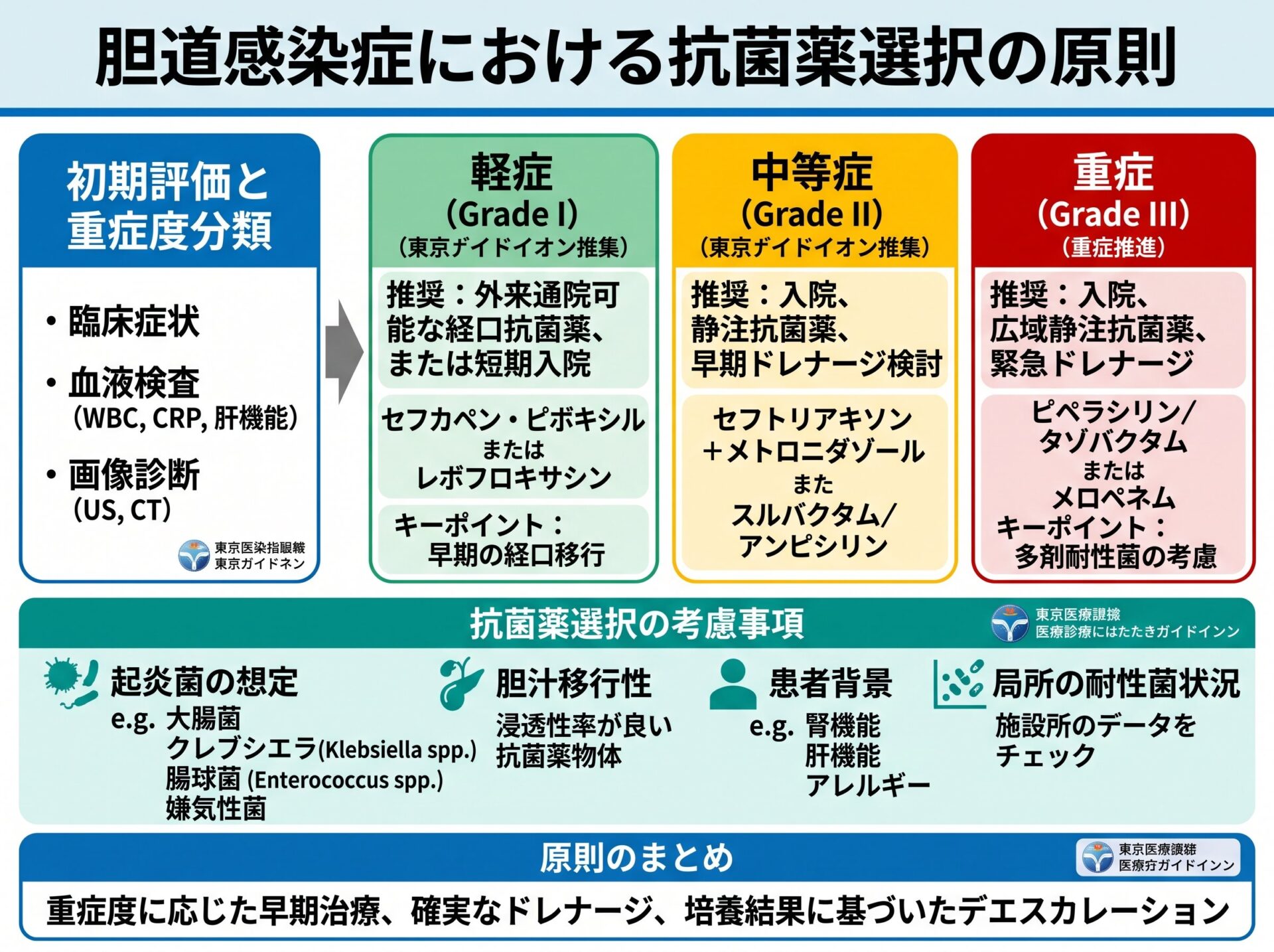 胆道感染症における抗菌薬選択の原則
