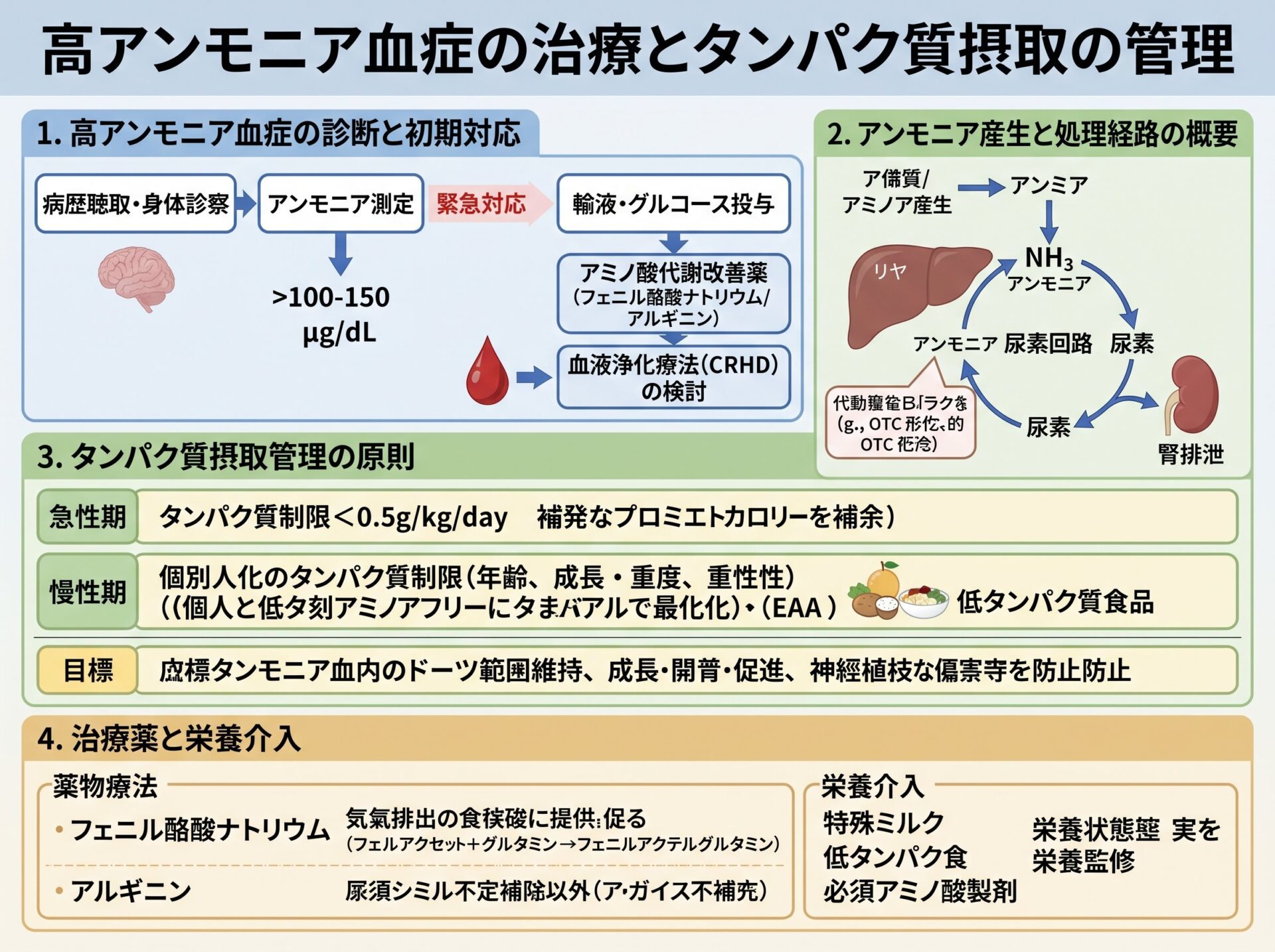 高アンモニア血症の治療とタンパク質摂取の管理
