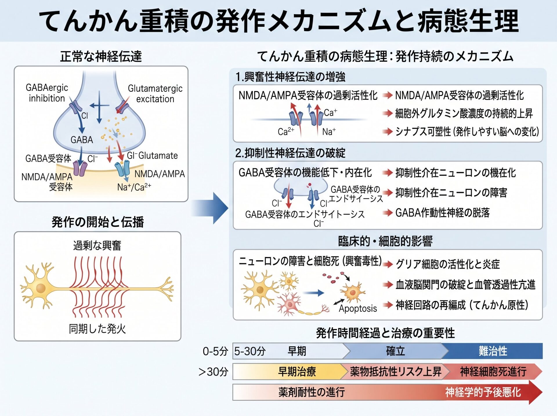 てんかん重積の発作メカニズムと病態生理