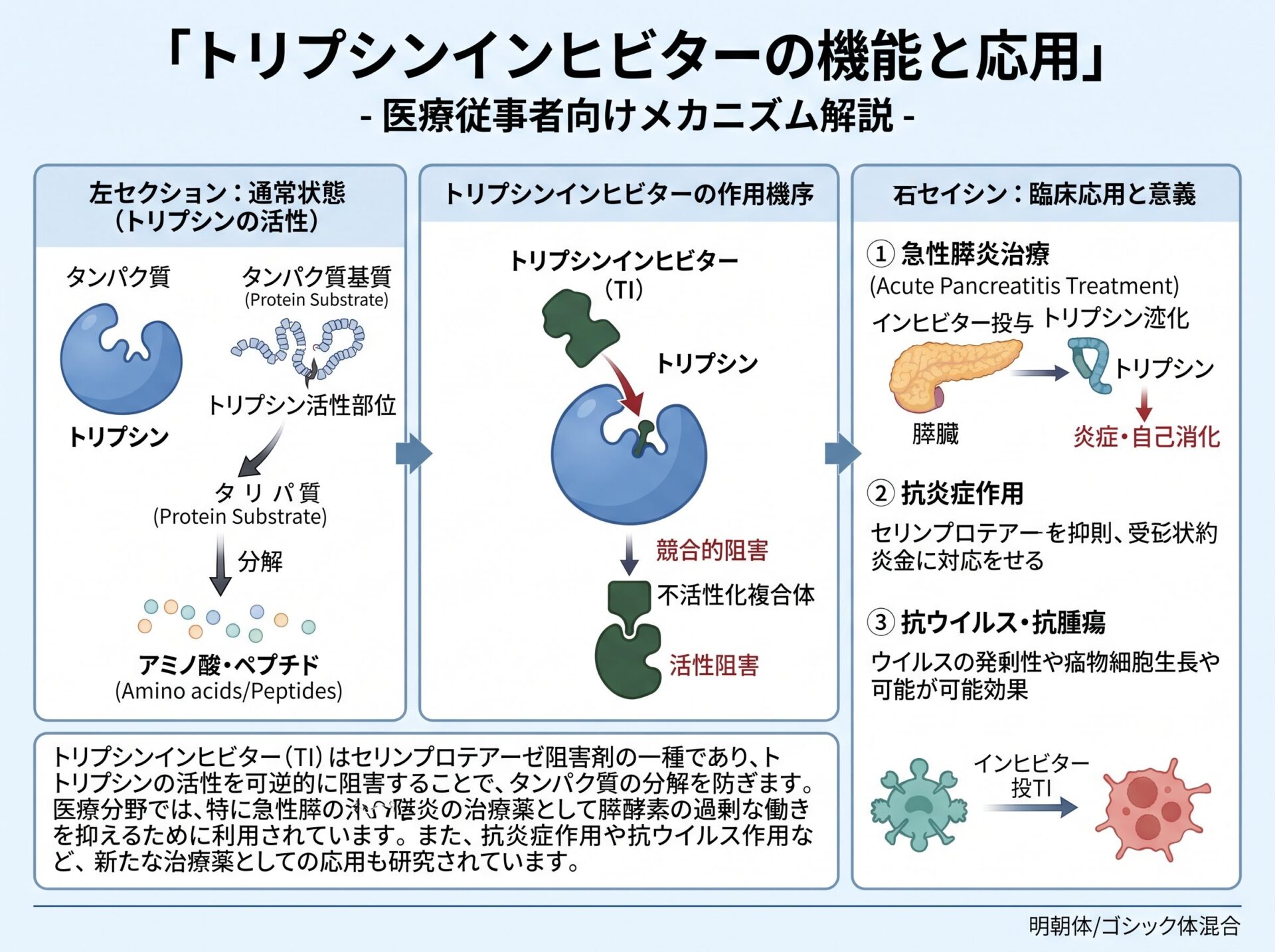 トリプシンインヒビターの機能と応用