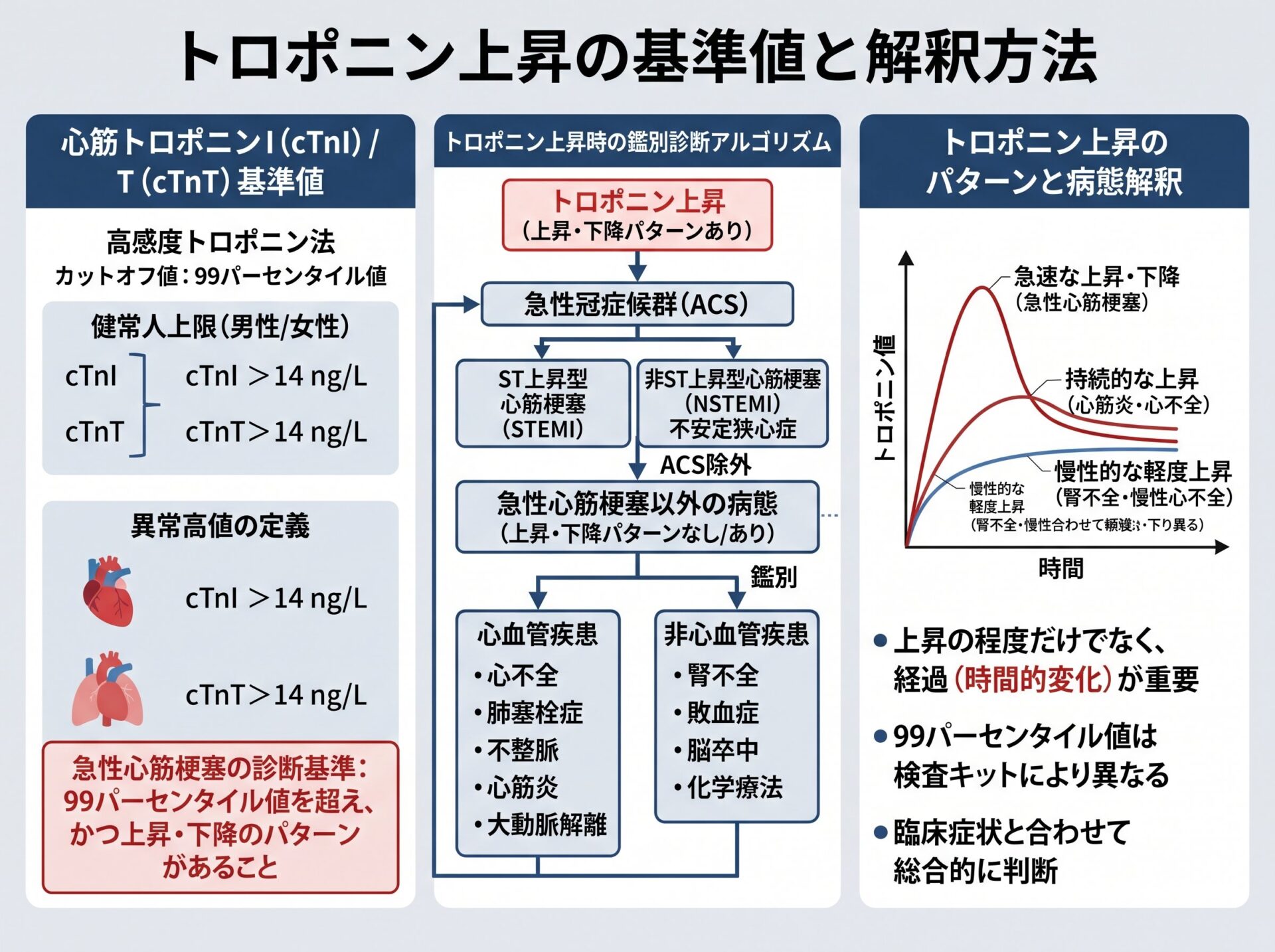 トロポニン上昇の基準値と解釈方法